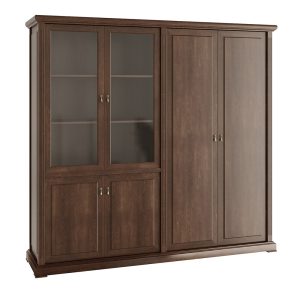 Шкаф для бумаг с гардеробом 220x55x212